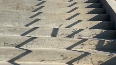 Get Fit Fast: The Stairs at Central Park. The Ultimate Summer Workout!