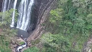 Borboleta azul na cascata