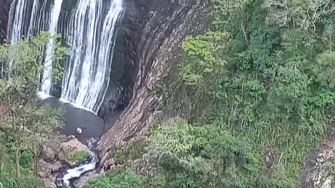 Borboleta azul na cascata