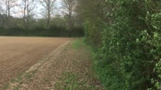 Rare Dust Devil in England Doesn't Spook This Horse