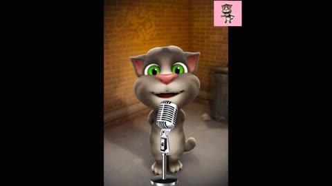 Cat talking video