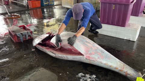 Super huge bluefin tuna cutting skills(2)