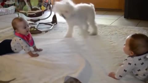 Cute Babies And Dogs Laughing