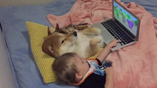Dog, cat & baby watch cartoons together