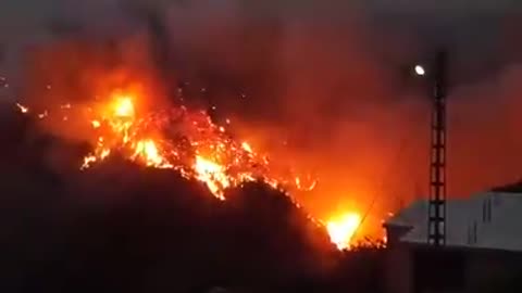 A big fire devours an entire forest in Algeria