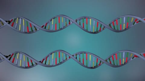 DNA replication in 3D