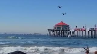 Ospreys at Huntington Beach😍😂