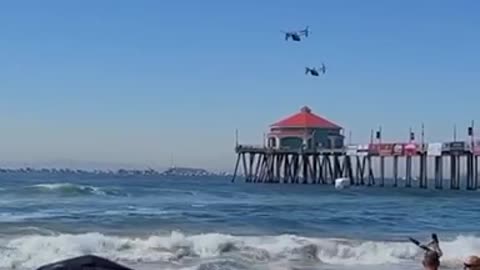 Ospreys at Huntington Beach😍😂