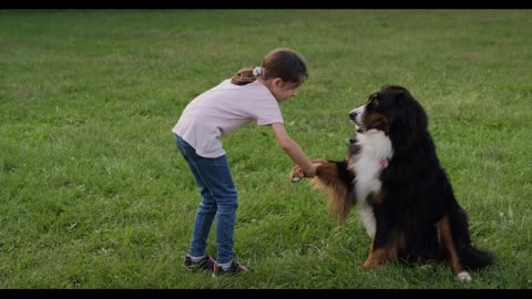 Little Girl Female Child Playing Tricks With Dog In Park