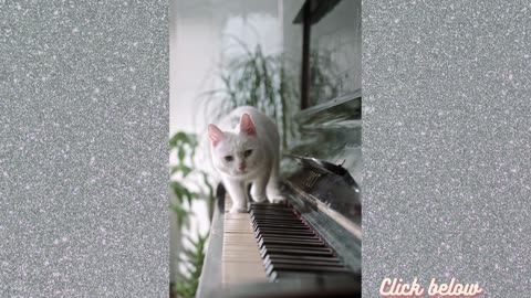 The Cat Walks on the piano