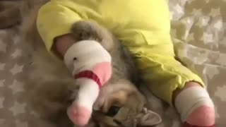 Kitty adorably plays with little baby's feet