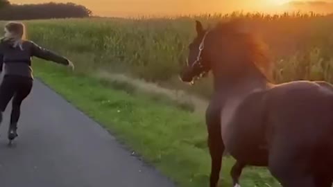 Exercise with pets