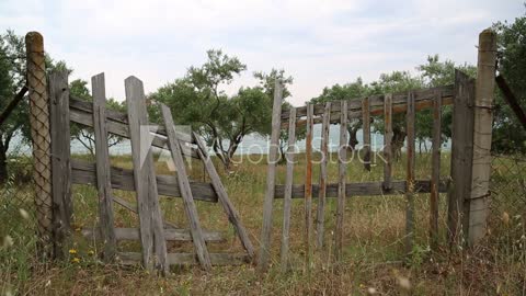 Village Mad Man’ Helps Farmers Protect Their Fields With Low-Cost Bio-Fencing