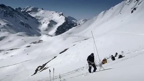 BBC l The phenomenon of snow in the wilderness l Wild Animals