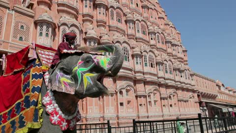 Ceremonial decorated Elephant outside the Hawa Mahal