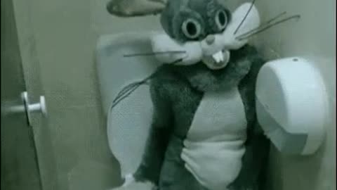 Funny A rabbit sitting on the toilet.