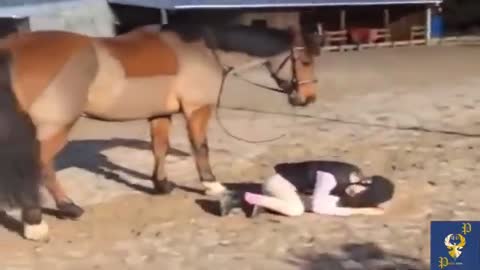 Funny horse riding new video