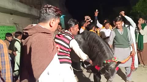 Very beautiful black horse dance