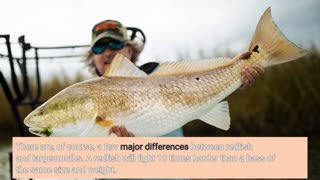 A Complete Guide to Redfish Fishing