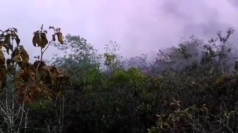 Cuerpo de Bomberos de Floridablanca atendió incendio