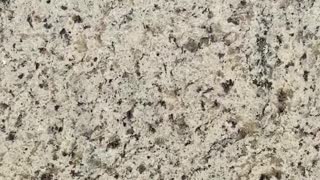White Ornamental Granite