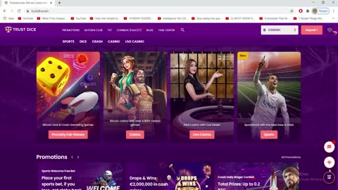 TRUST DICE New Gambling website Review easy to profit