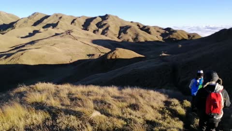 Mt. Pulag in the Philippines