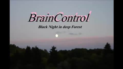 Black Night in Deep Forest