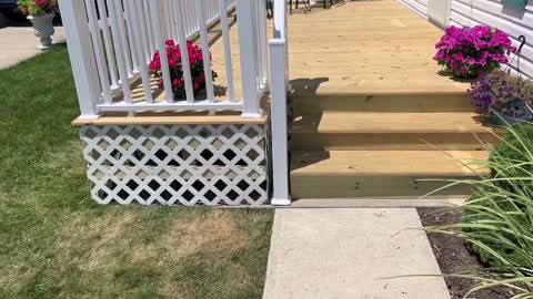 Deck with White Vinyl railing