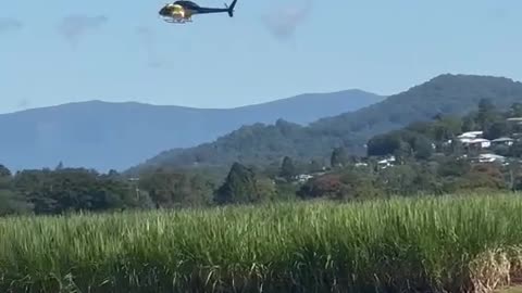 Chopper at Murwillumbah, NSW spraying deadly fire ant poison.