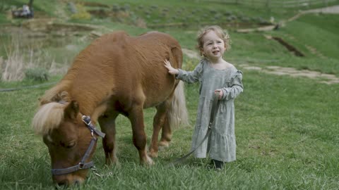 Cute Horse And So Cute Baby Best Moment And Amazing Video World❤️