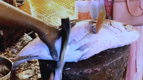 amazing grouper big fish cleaning &chopping by expert fish cutter.