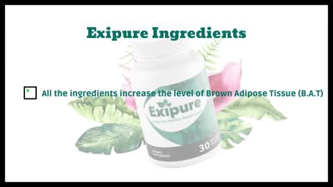 EXIPURE - Exipure Review – Exipure Weight Loss Supplement – Exipure Reviews