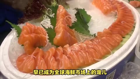 Revealing the origins and cooking secrets of Japanese salmon