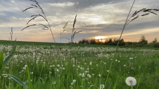 Beautiful Slow Sunset in Northern Maine ~ ambient sounds