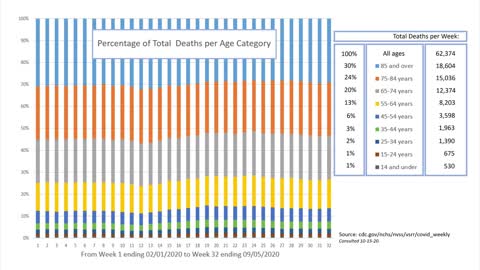 COVID-19 Death Statistics (In 20 Minutes)