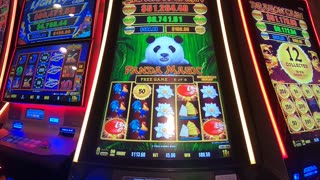 Dragon Cash Panda Magic Slot Machine Play Bonuses Free Games Fun Play!