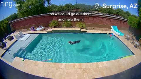 Hamilton, the Dog, Hits The Water & Son Coaches Mom Via a Ring Cam | Neighborhood Stories