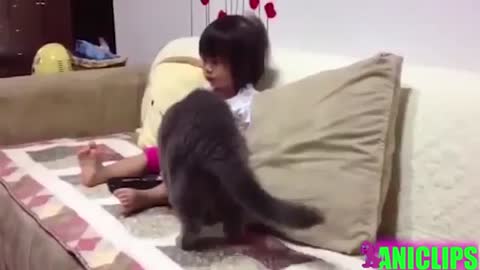 cute dog play with the child