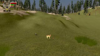 Wolfquest AE speedrun former WR (I think) 55m38s