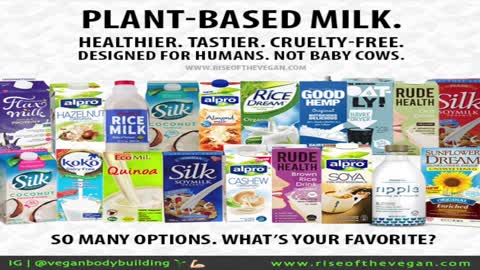 1 Very Good Reason Vegan Milk Beats Cow Milk