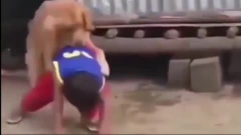 Stupid Boy Playing with Dog