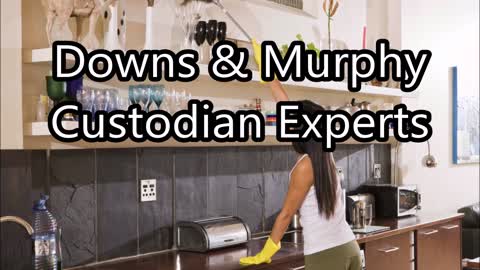 Downs & Murphy Custodian Experts - (925) 492-8989