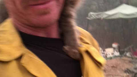 Cat Rescued From Paradise Fires Perches on Fireman