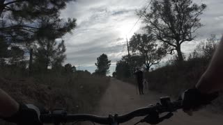 E-BIKE RIDE pela MS (Arrabida Valley) e-st 900 S05E12 26th JUNE 2K24 PART 23