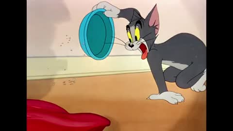 tom and jerry tom and jerry cartoon_tom and jerry tom and jerry