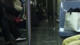Person dressed as christmas tree end of subway