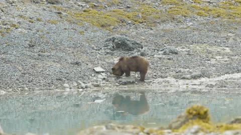 2021 Glacier Bay Camper's Orientation - Glacier Bay National Park