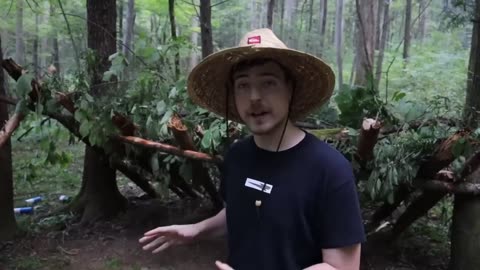 Surviving 24 Hours Straight In A Rain Forest Mr Beast Video Mr Beast