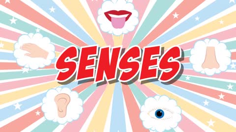 Five Senses Song For Kids | Fun Educational Video For Kids